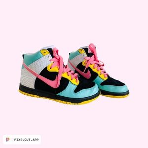 Nike 6.0 High Top Sneakers